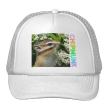 Chipmunk photo　(30-19) トラッカーハット