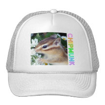 Chipmunk photo　(30-19) トラッカー帽子
