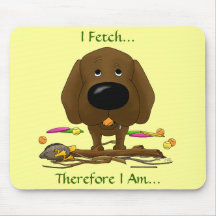 Chocolate Labrador (laboratórios) - eu busco… Mous