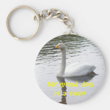 Cisne branca chaveiros
