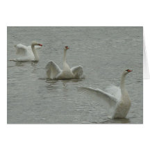 Cisne-colagem Cartão