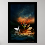 Cisne só posters