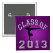 Classe da ginástica 2013 pins