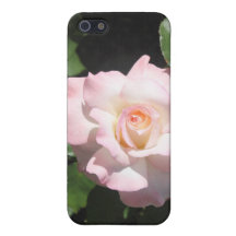 Close up do rosa cor-de-rosa & branco capas iPhone 5