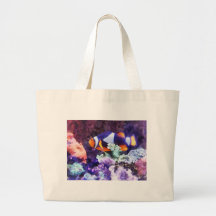 Clownfish e coral bolsa