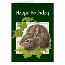 Coelho de coelho geral do aniversário para alguém  cartões