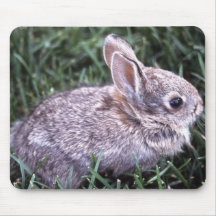 Coelho de coelho Mousepad