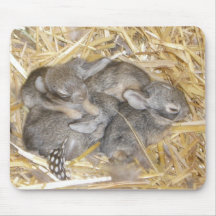 Coelhos do coelho mouse pads