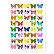 Colagem da borboleta cartao postal