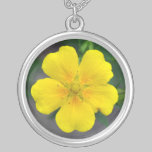 Colar amarela do pendente da flor do potentilla colares