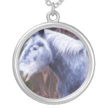 Colar do cavalo