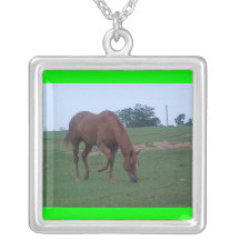 Colar do cavalo