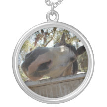 Colar do cavalo