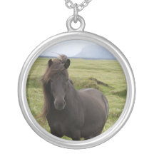 Colar do cavalo