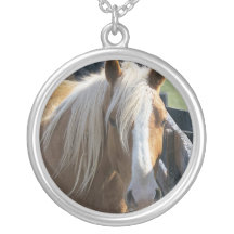 Colar do cavalo