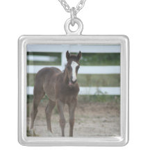 COLAR DO CAVALO