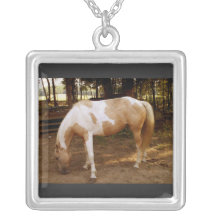 Colar do cavalo 3