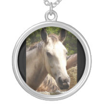 Colar do cavalo 4