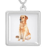 Colar do golden retriever