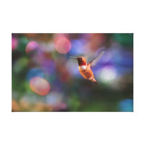 Colibri do vôo e fundo colorido impressões em tela