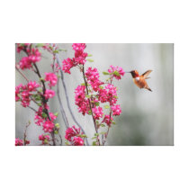 Colibri e flores do vôo impressões em tela