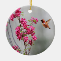 Colibri e flores do vôo ornamentos