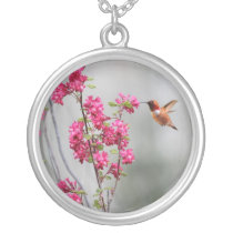 Colibri e flores do vôo colares