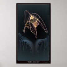 Colibri Posters
