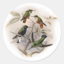 Colibris em vôo adesivo