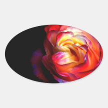 Colori Brillanti Adesivos Oval