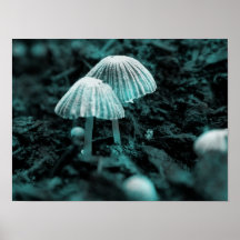 Coma-me… Beba-me… Posters