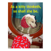 Como um thinketh do gatinho… cartoes postais