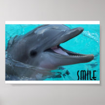 Compartilhe do sorriso de um golfinho posters