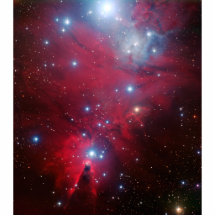 Conjunto de estrela da árvore de Natal Escultura De Fotos