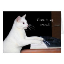 Considerando do piano do gato cartoes