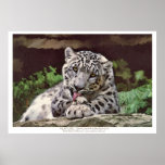 "CONSOLIDE" o impressão da arte do leopardo de nev