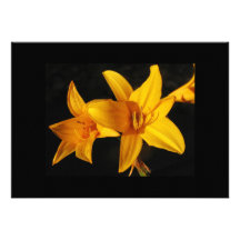 Convite amarelo da orquídea