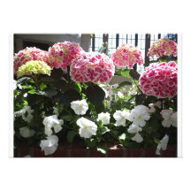 Convite do jardim do Hydrangea