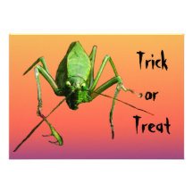 Convite estrangeiro de Katydid