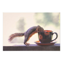 Copo do esquilo e de café foto artes