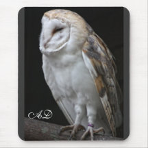 Coruja de celeiro mouse pads