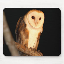 Coruja de celeiro mousepad