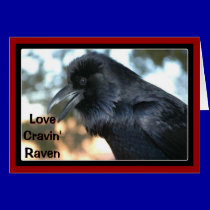 Corvo de Cravin do amor postais