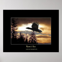 Corvo SAGRADO & poster da arte de Sun