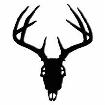 Crânio da caça dos cervos com Antlers Esculturafotos