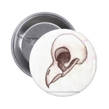 crânio do pássaro pins