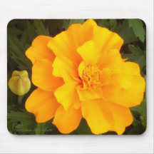 Cravo-de-defunto alaranjado dourado mousepads
