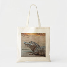 Crocodilo Bolsas De Lona