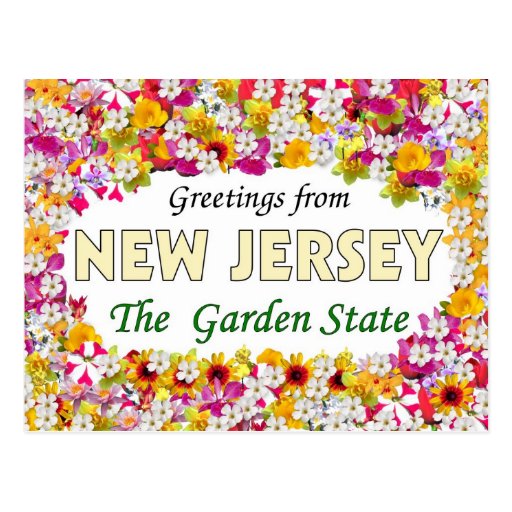 Cumprimentos de New-jersey Cartões Postais