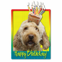 Cupcake do aniversário - GoldenDoodle Esculturafotos